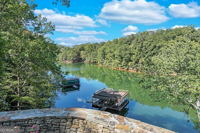 dock area featuring a water view