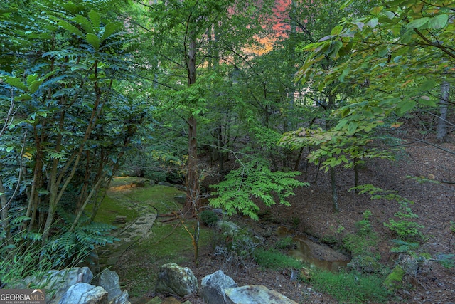 view of local wilderness