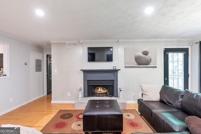 living room with electric panel, a textured ceiling, ornamental molding, and light wood-type flooring