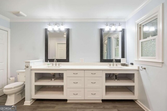 bathroom featuring crown molding, vanity, toilet, and wood-type flooring