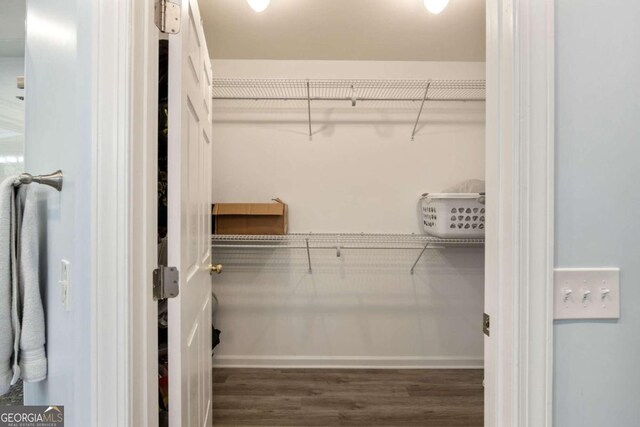 walk in closet featuring dark hardwood / wood-style floors