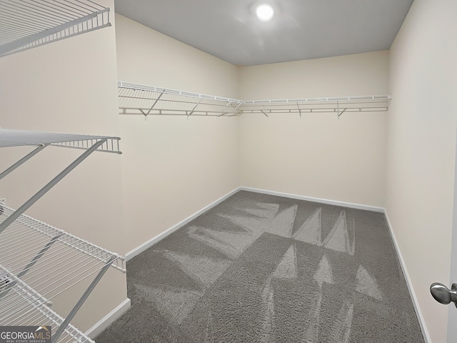 spacious closet with carpet