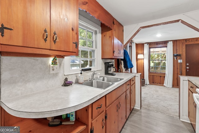 kitchen featuring light wood-type flooring, a healthy amount of sunlight, wooden walls, and sink