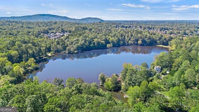 drone / aerial view featuring a water and mountain view