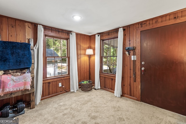 interior space with light colored carpet and wooden walls