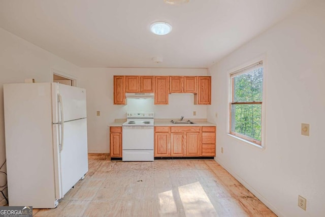 kitchen with light brown cabinets, sink, and white appliances