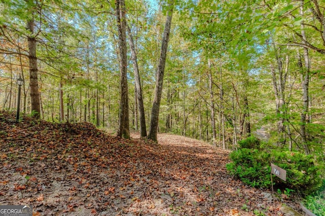 view of local wilderness