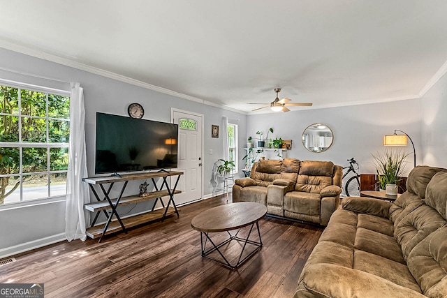 living room with ceiling fan, ornamental molding, dark hardwood / wood-style flooring, and a healthy amount of sunlight