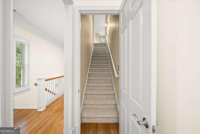 stairs with wood-type flooring