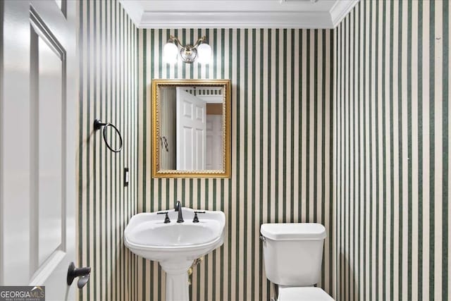 bathroom featuring toilet, sink, and ornamental molding