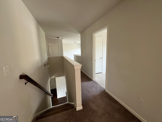 stairs featuring carpet floors