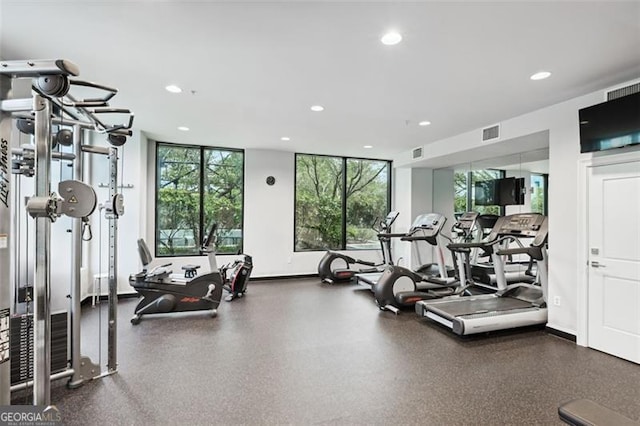 exercise room featuring a healthy amount of sunlight