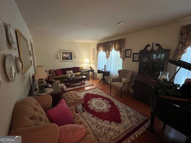 living room with hardwood / wood-style flooring and a healthy amount of sunlight