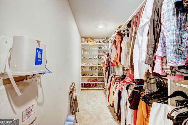 walk in closet with carpet floors