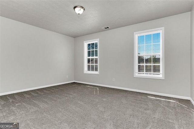 empty room with a healthy amount of sunlight, carpet, and a textured ceiling