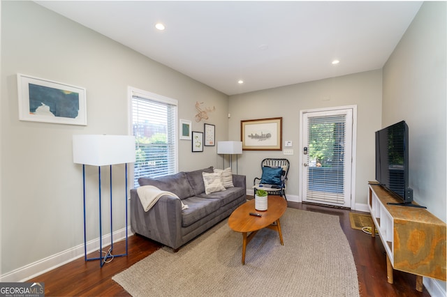 living room featuring dark wood-type flooring