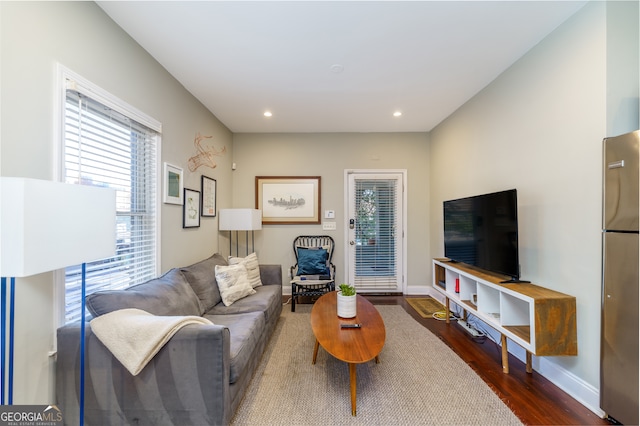 living room featuring dark hardwood / wood-style flooring