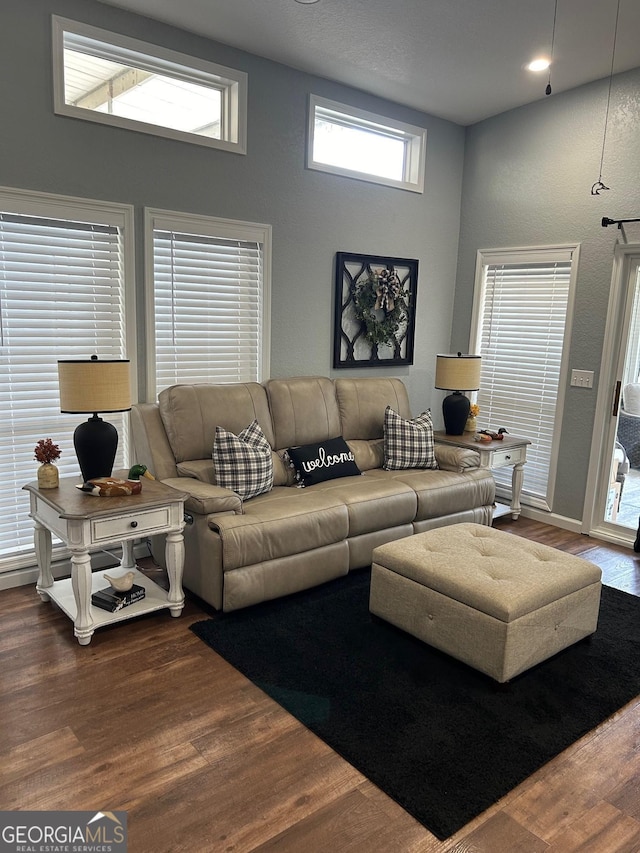 living room featuring a high ceiling and hardwood / wood-style floors