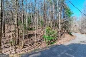 LOT694 Satsuma Ct, Ellijay GA, 30540 land for sale