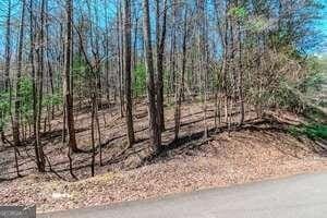 Listing photo 3 for LOT694 Satsuma Ct, Ellijay GA 30540