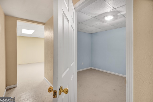 hall featuring light colored carpet and a drop ceiling