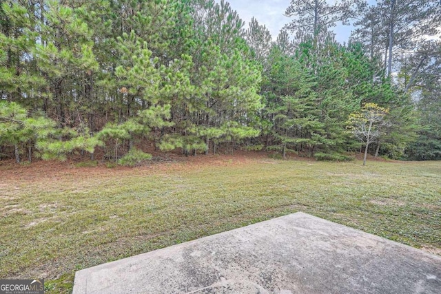 view of yard with a patio area