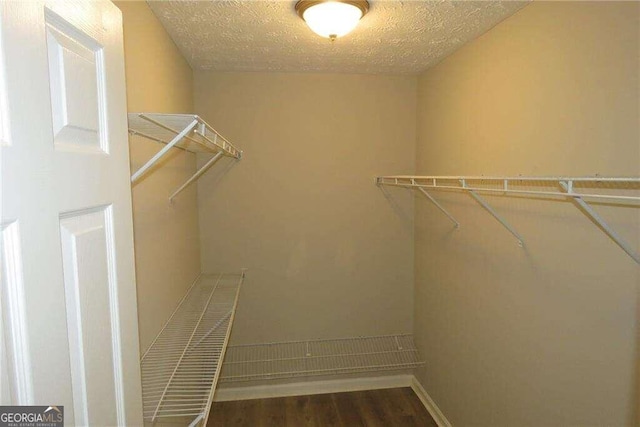 spacious closet featuring dark hardwood / wood-style flooring