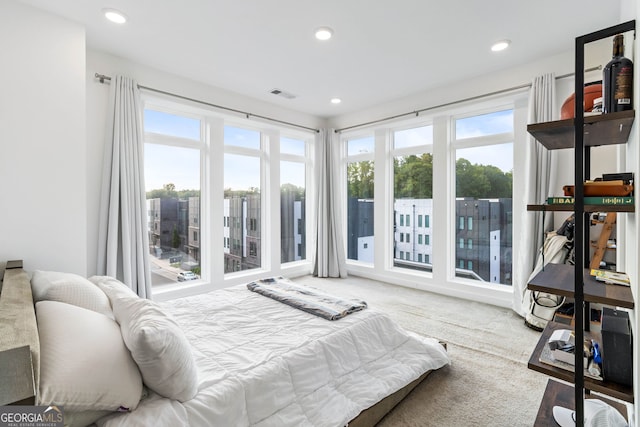 bedroom featuring carpet