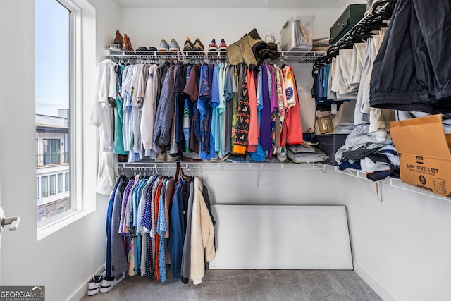 walk in closet featuring carpet floors