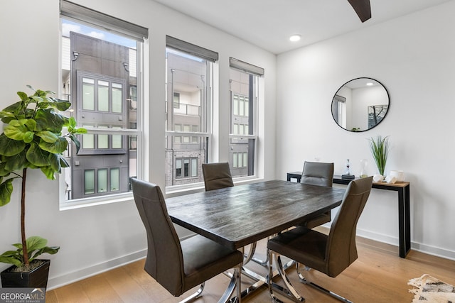 dining space featuring a wealth of natural light and light hardwood / wood-style floors