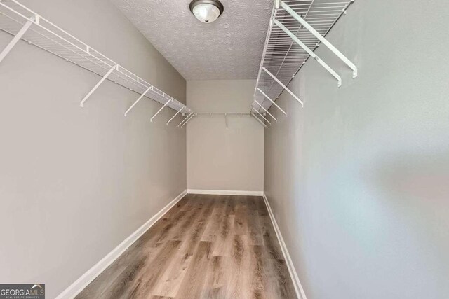 walk in closet featuring wood-type flooring