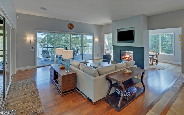 living room with hardwood / wood-style flooring and a healthy amount of sunlight