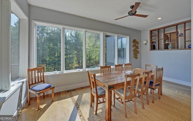 dining room with ceiling fan and light wood-type flooring