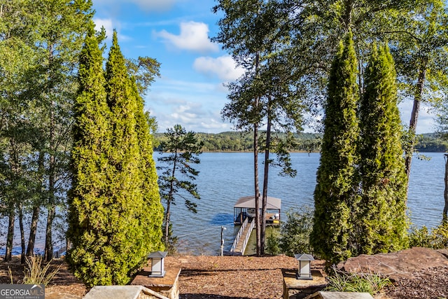 view of water feature featuring a boat dock