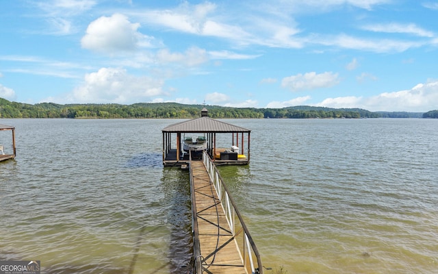 dock area with a water view