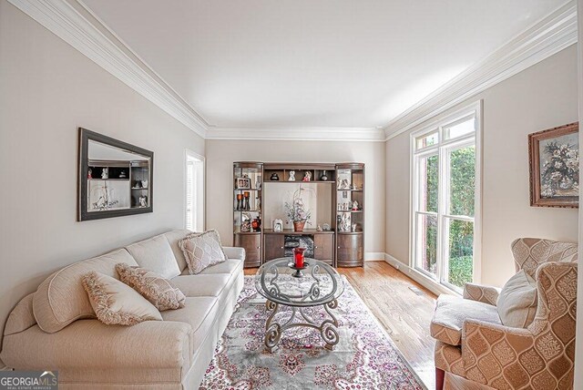 living room featuring ornamental molding and light hardwood / wood-style flooring