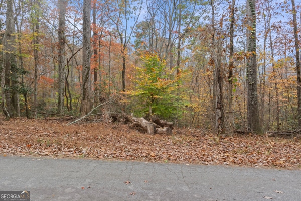 Listing photo 3 for LOT6 Twisting Ridge Trl, Demorest GA 30535