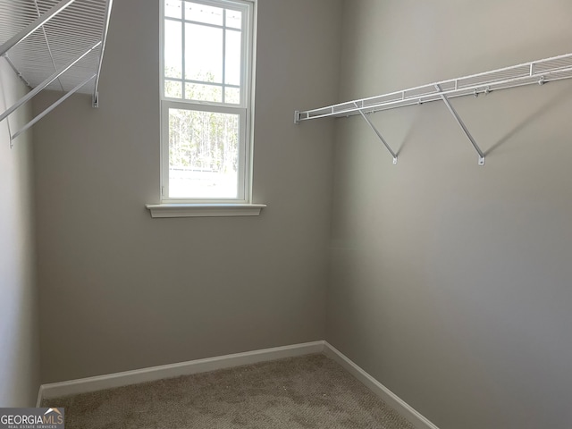 spacious closet with carpet