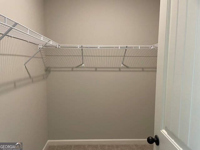 walk in closet with carpet floors