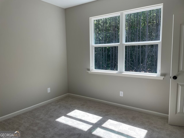 carpeted empty room with a healthy amount of sunlight