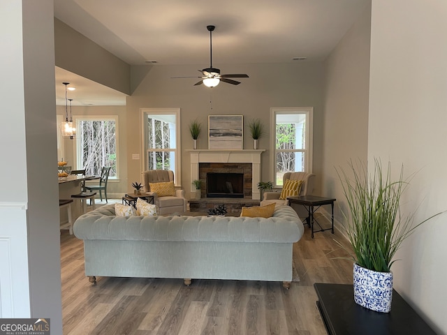 living room with ceiling fan, a stone fireplace, plenty of natural light, and hardwood / wood-style floors