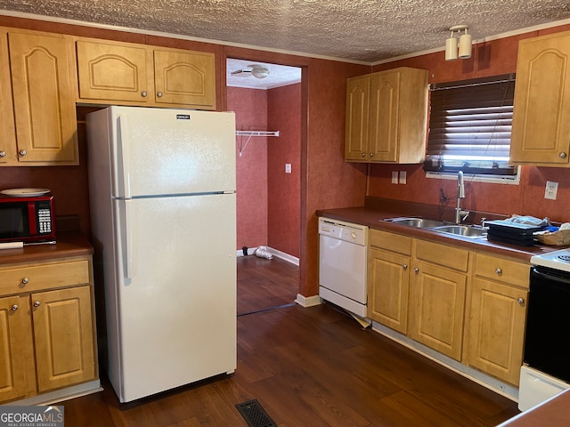 kitchen featuring black appliances, dark wood-type flooring, sink, crown molding, and a textured ceiling