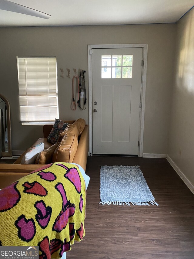 entryway with dark hardwood / wood-style floors