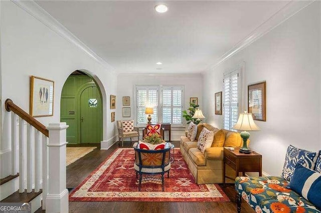 living room featuring crown molding and dark hardwood / wood-style floors