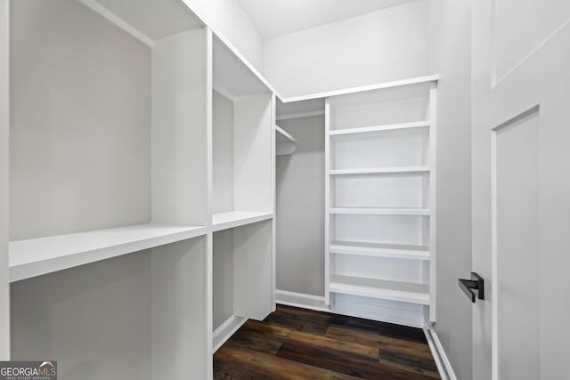 spacious closet with dark hardwood / wood-style floors