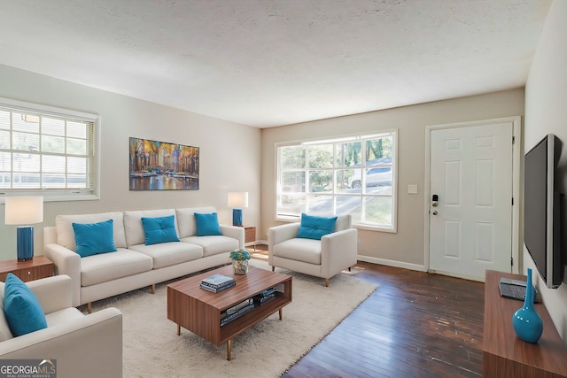 living room with dark hardwood / wood-style flooring