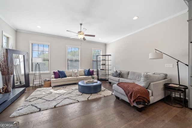 living room featuring ceiling fan, dark hardwood / wood-style floors, and crown molding