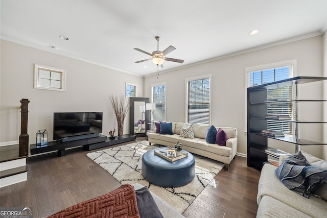 living room with ceiling fan, crown molding, and dark hardwood / wood-style flooring