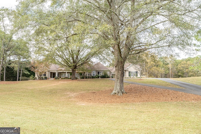 ranch-style house with a front yard