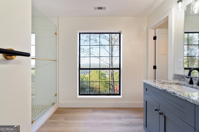 bathroom with vanity, walk in shower, and plenty of natural light